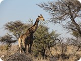 Namibia Discovery-0156